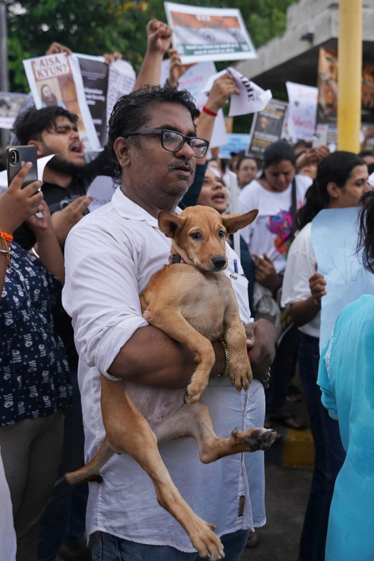 PROTEST AGAIST SUPREME COURTS DOG REMOVAL ACT